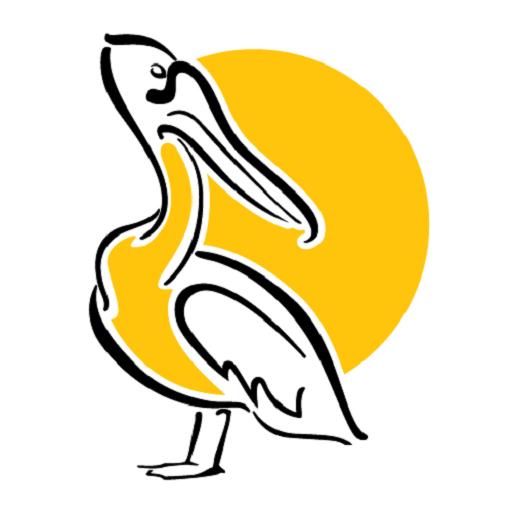 Yellow Pelican